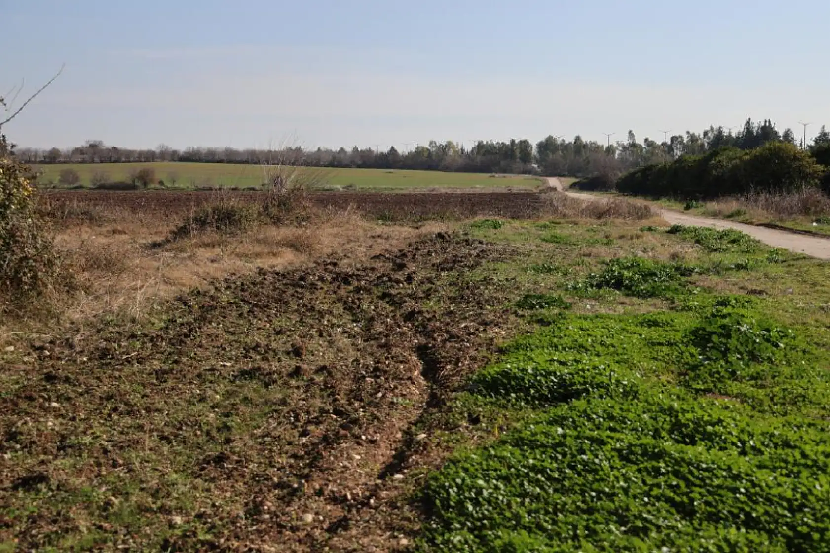 2 çocuk annesi genç kadını sevgilisi infaz etti