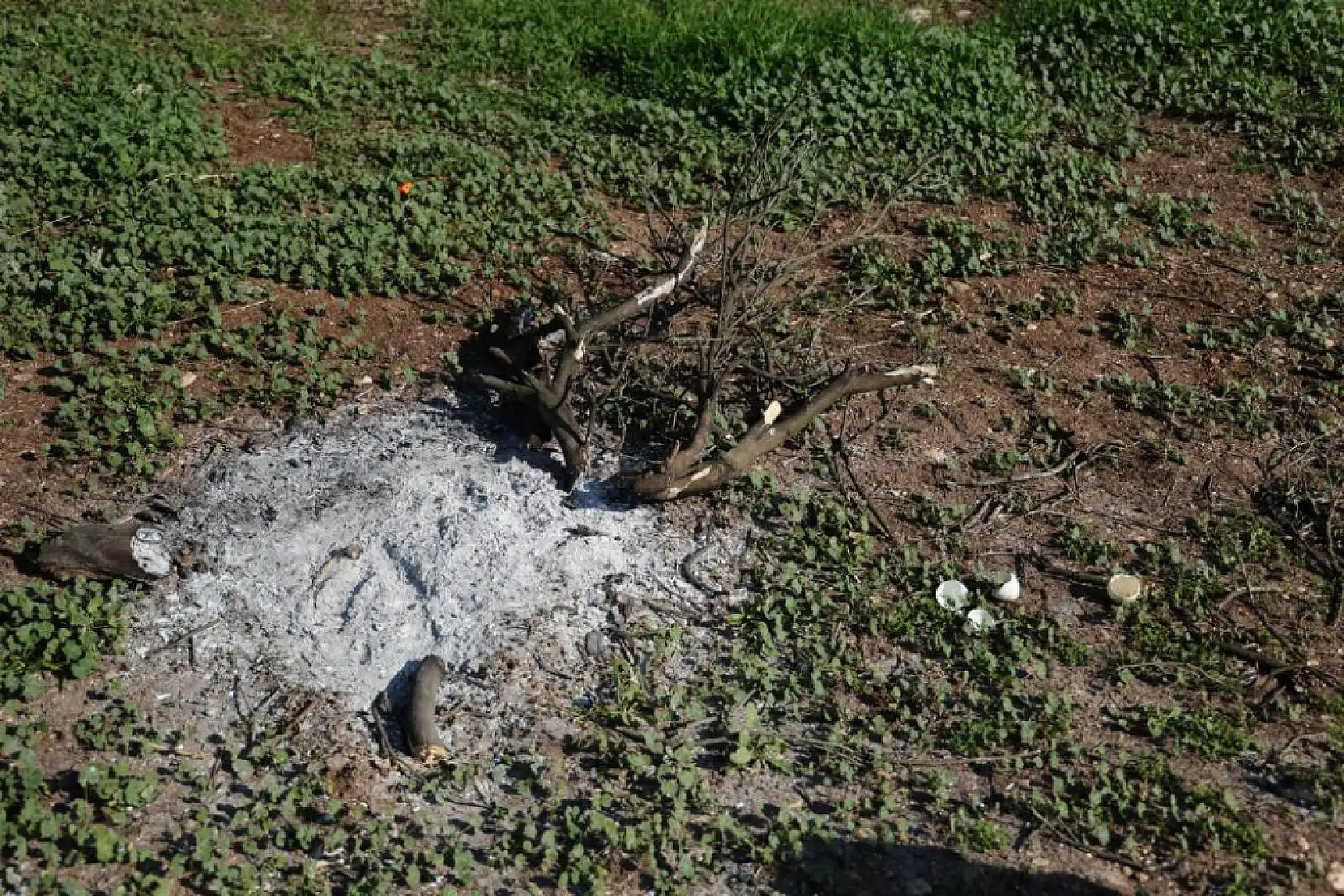 2 çocuk annesi genç kadını sevgilisi infaz etti