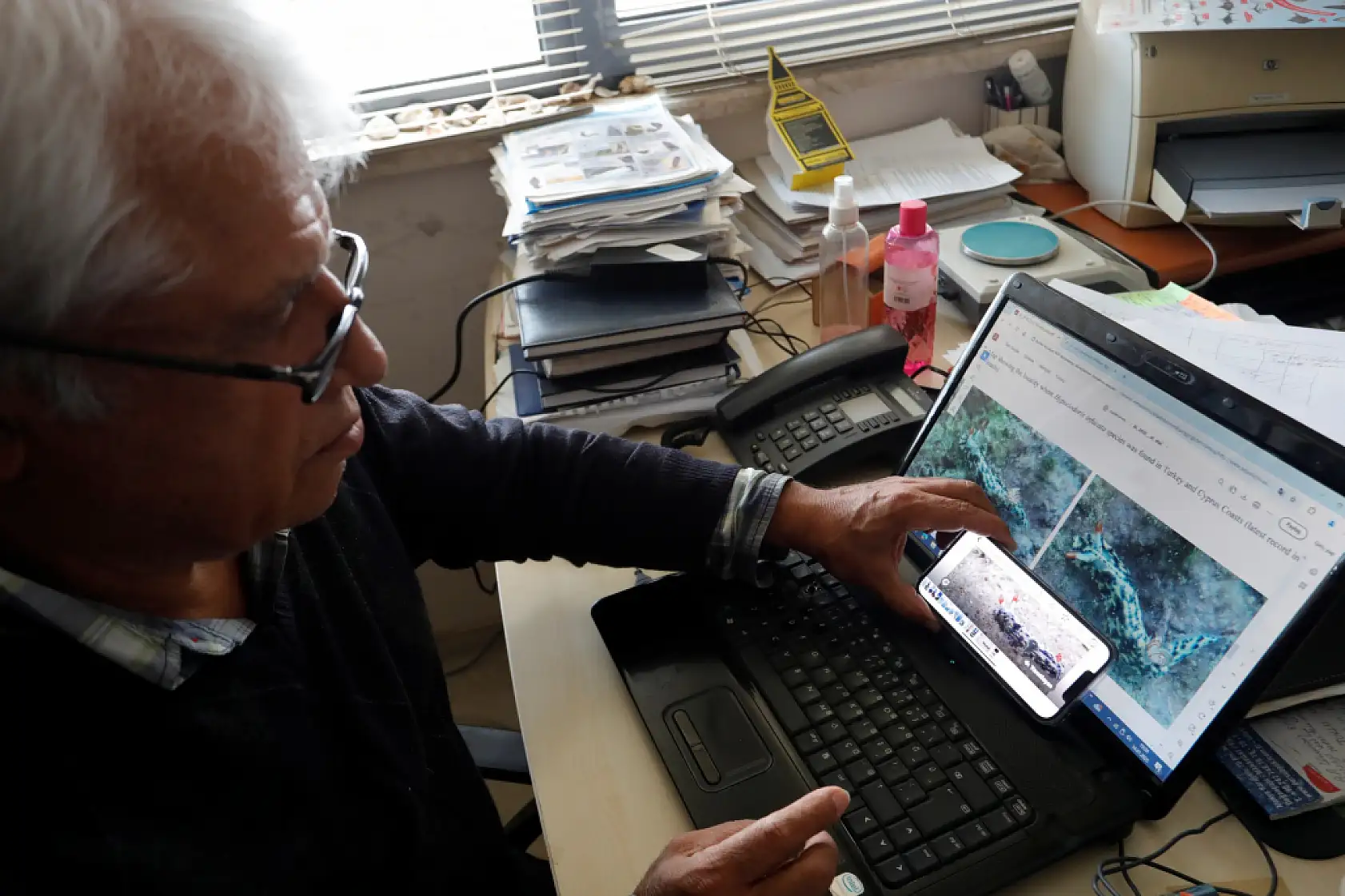 Antalya Körfezi'nde 15 yıl önce görülmüştü, tekrar görüntülendi