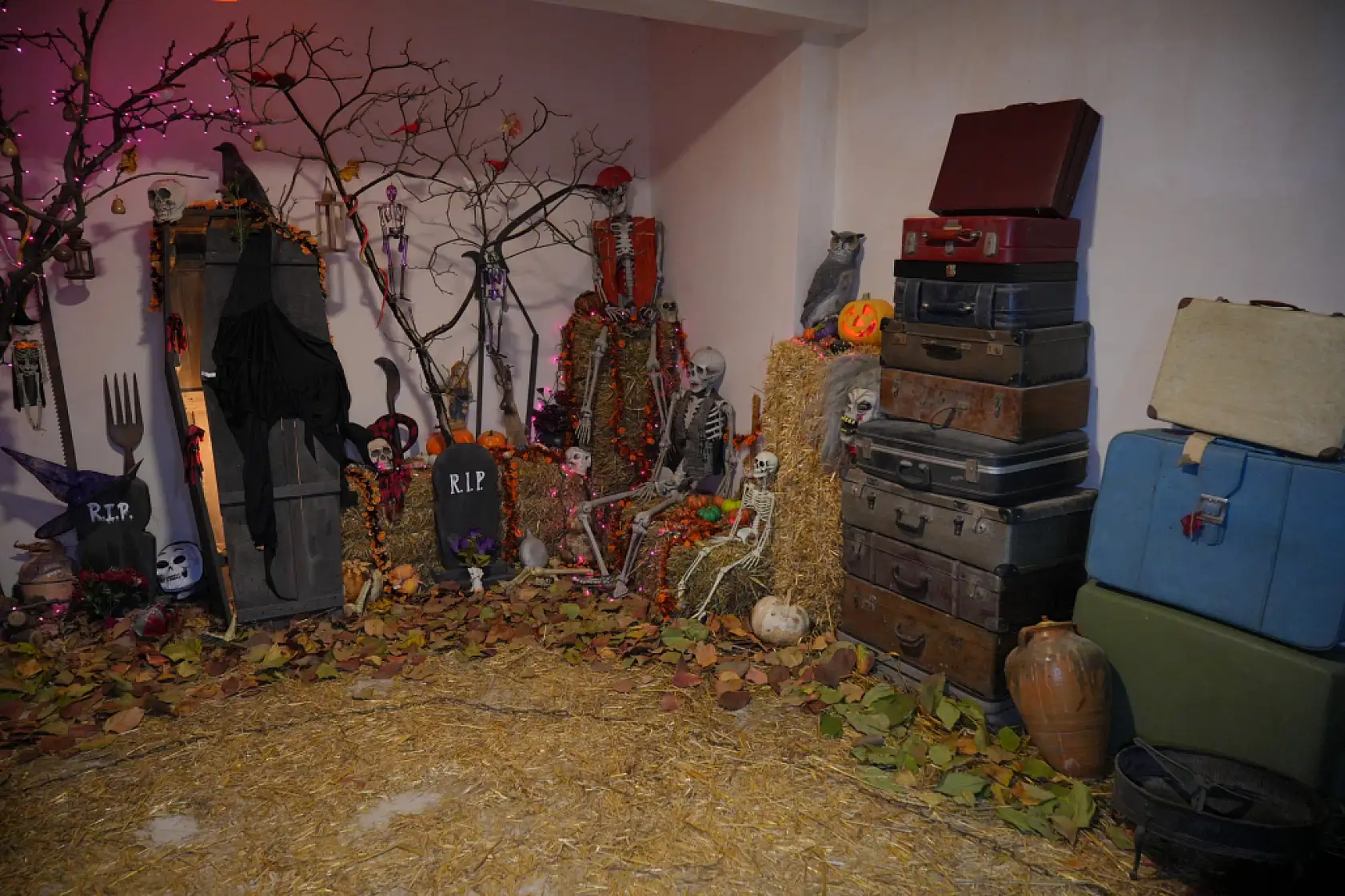 Bu evi görenler film platosu sanıyor