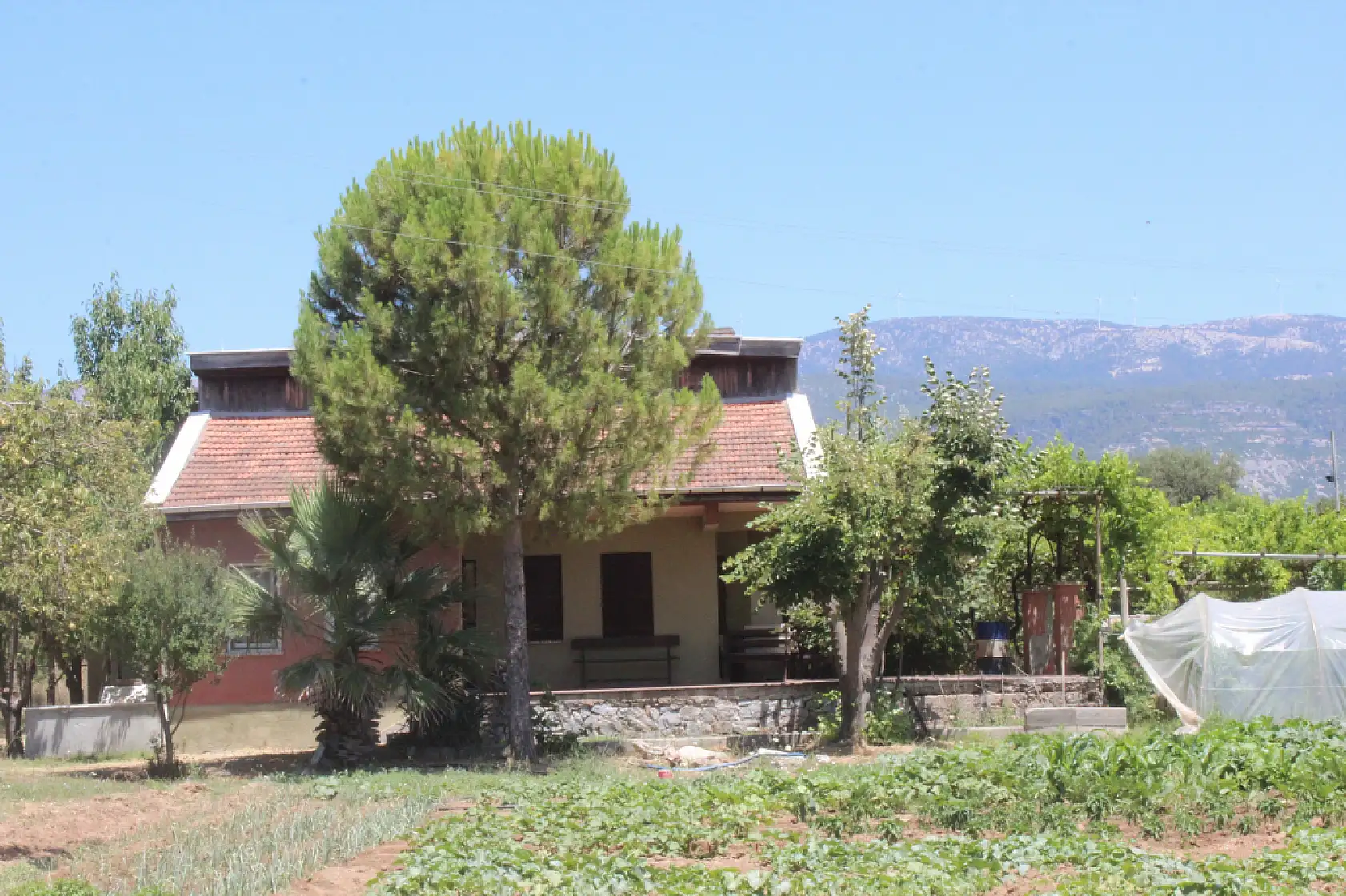 Pınar Gültekin davasında şok gelişme! Karar sanık lehine bozuldu