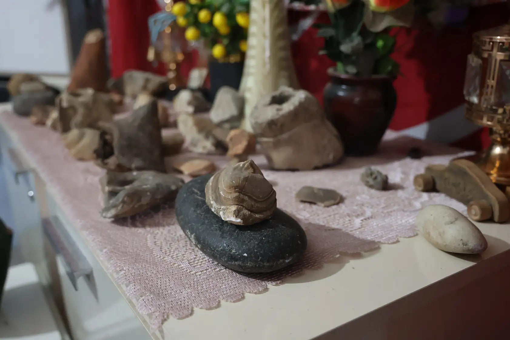 Çobanın doğanın içinden gelen koleksiyonu: Dağlardan toplayıp evinde sergiliyor