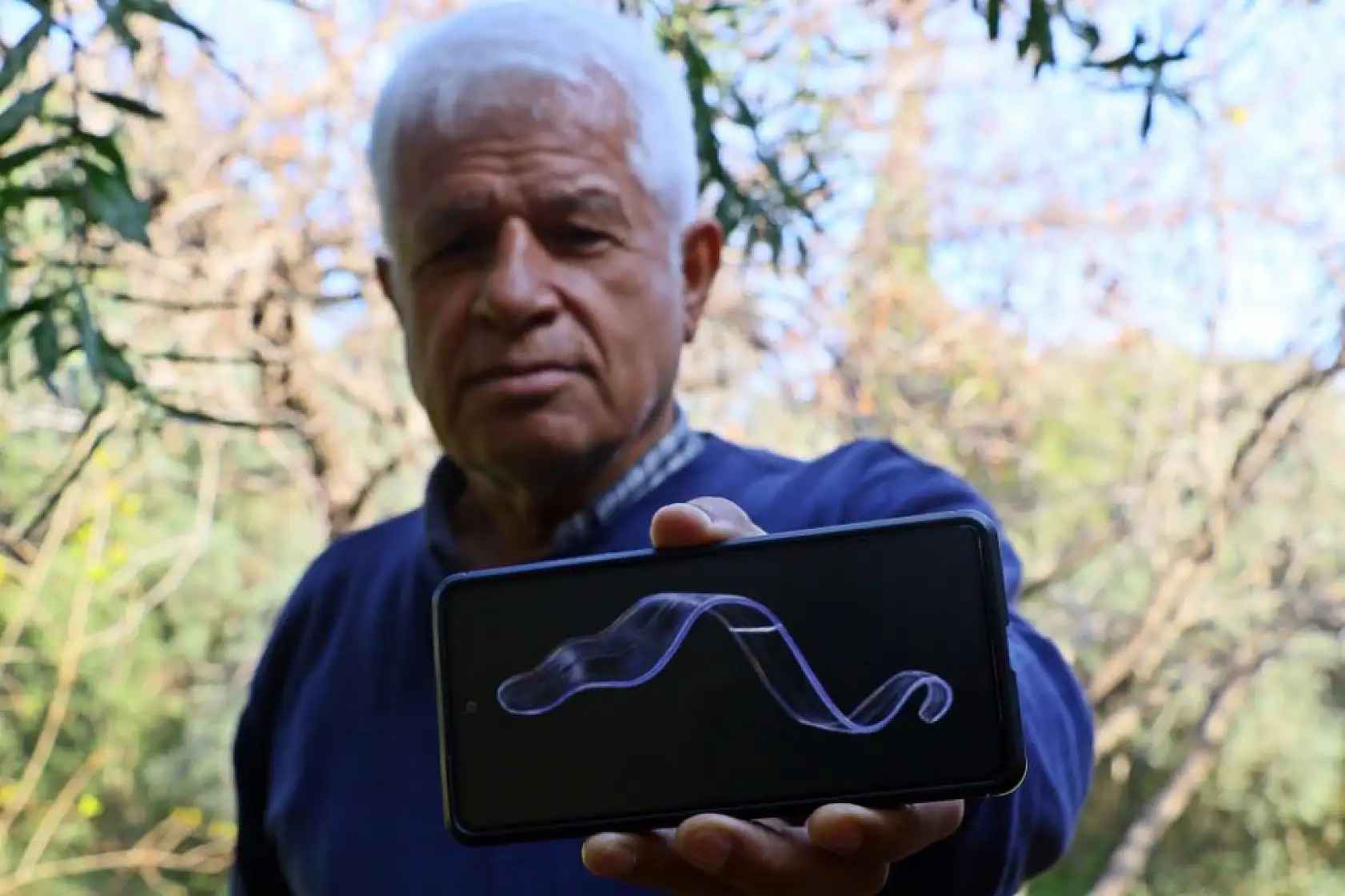 Antalya Körfezi'nde ilk kez görüntülendi! Gizemli deniz canlısı şaşırttı