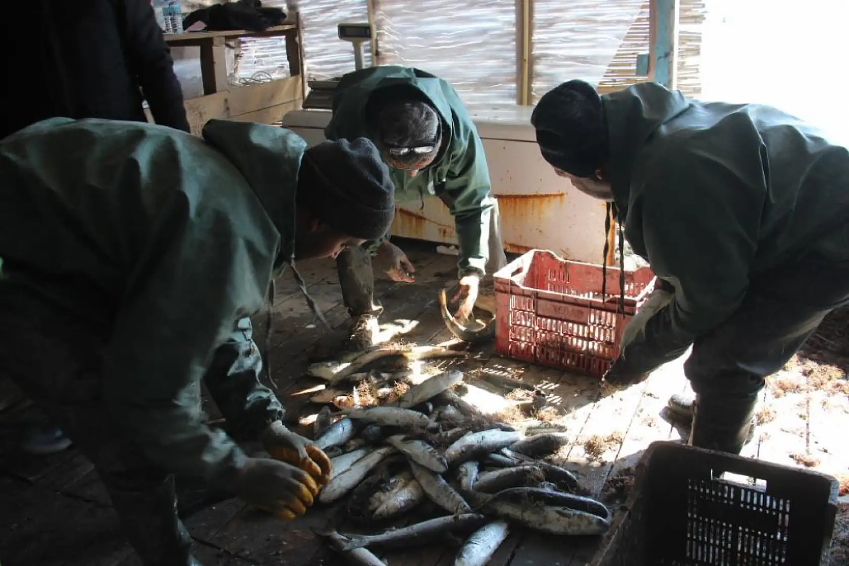 Günlerdir etkili olan fırtına balıkçıları olumsuz etkiledi