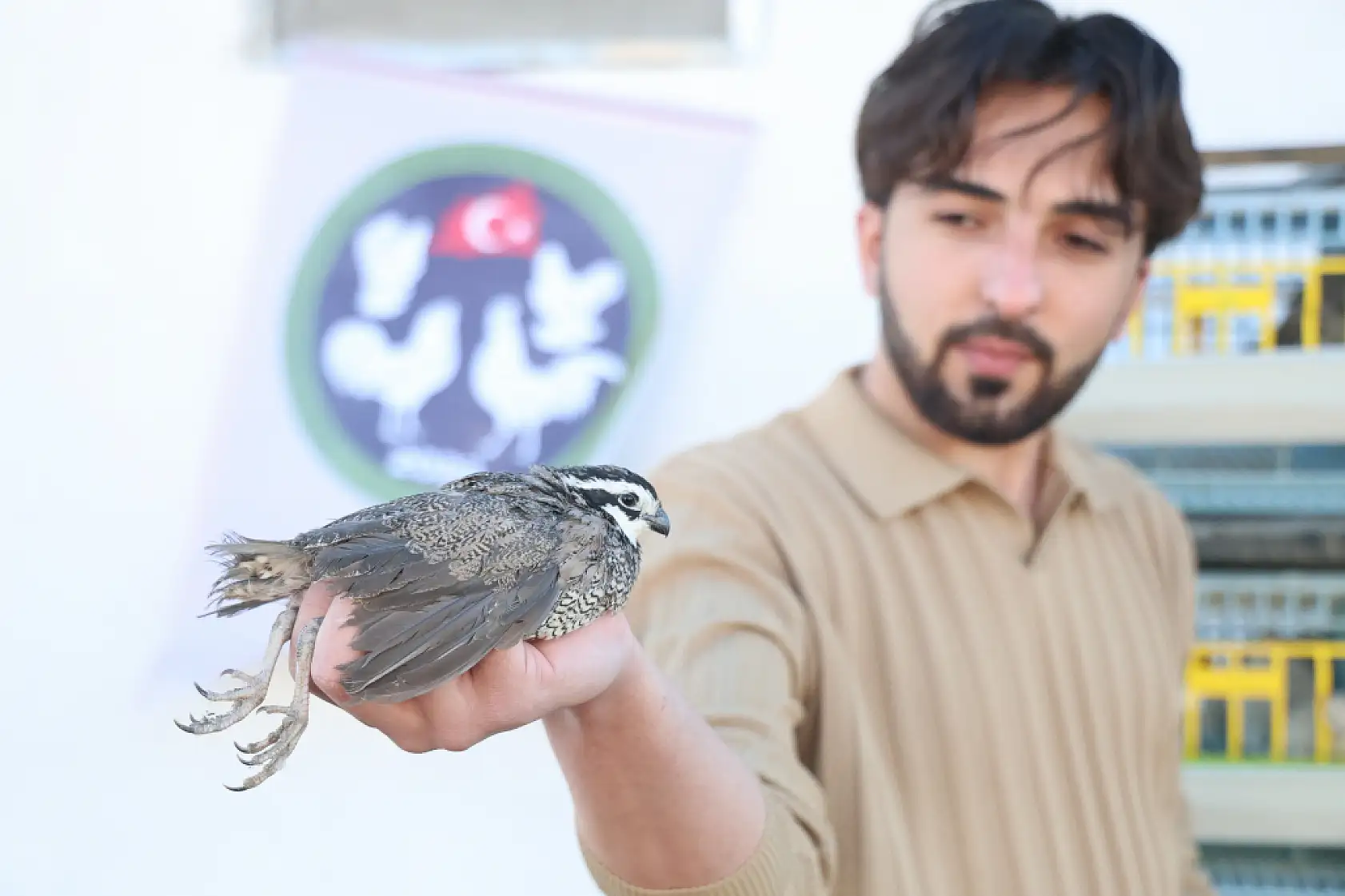 Üniversiteli genç ürettiği egzotik bıldırcınları dünyaya ihraç ediyor