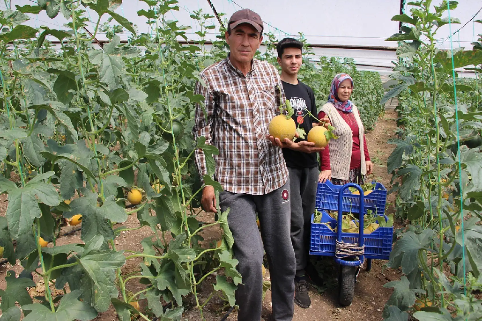 Bu mevsimde olmaz dediler, 2 ton hasat yapıp kilosunu 200 TL'den sattı