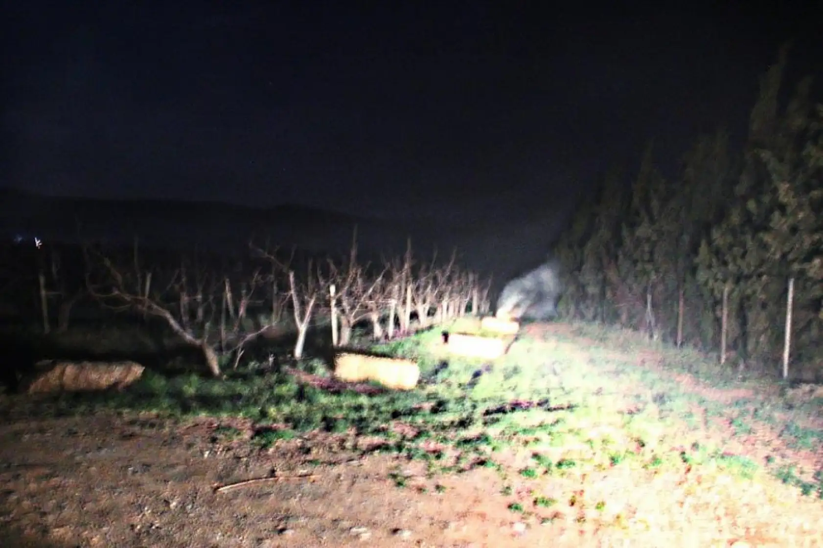 Çiftçiler kara kara düşünüyor! Meyve ağaçları don yüzünden mahvoldu