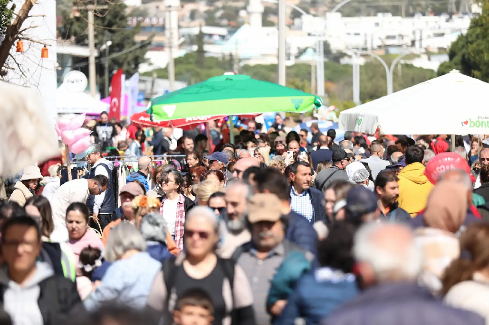 Bodrum'da Acı Ot Festivali'nin 6'ncısı düzenlenecek