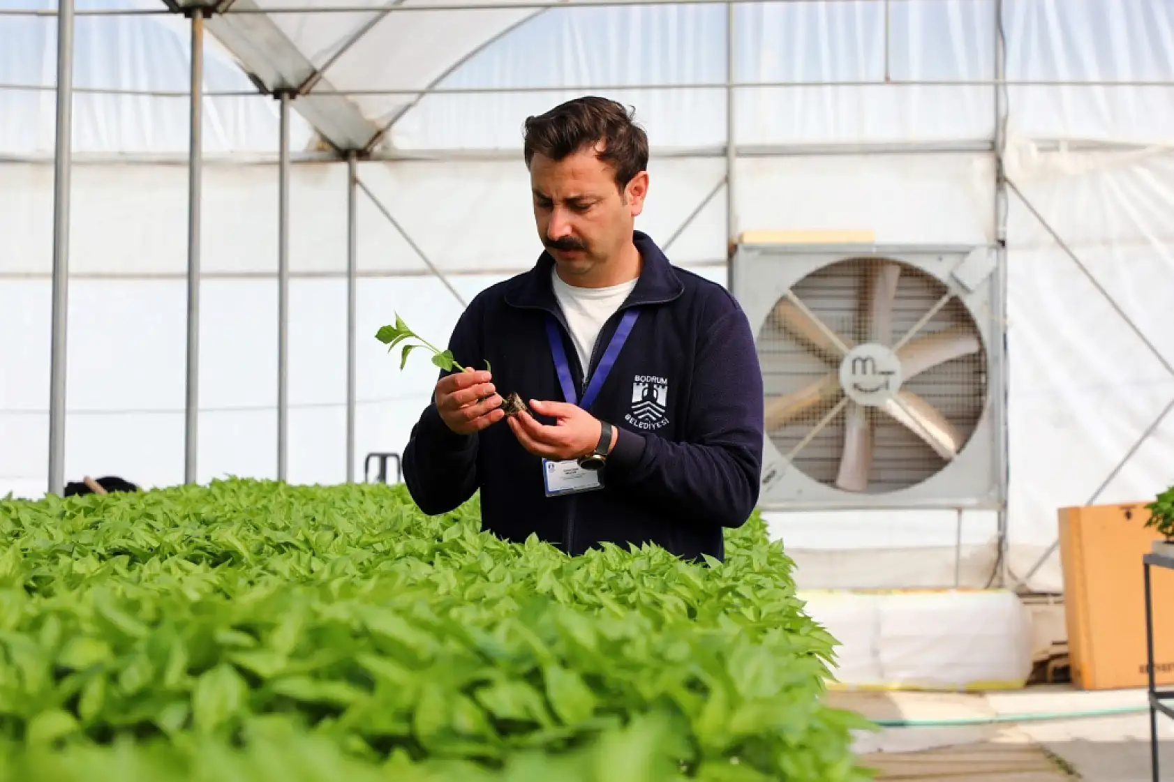 Belediyeden çiftçiye yazlık fide desteği