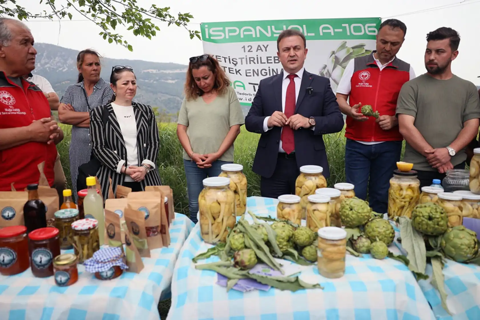 Muğla' da 'Hibrit Enginar Hasadı Tarla Günü' düzenlendi