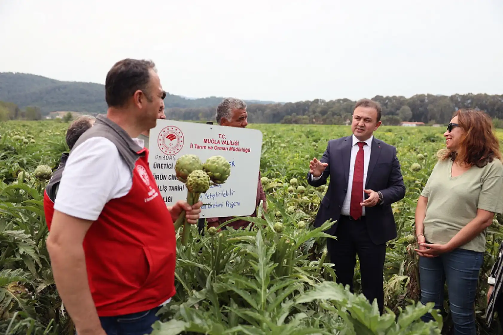 Muğla' da 'Hibrit Enginar Hasadı Tarla Günü' düzenlendi