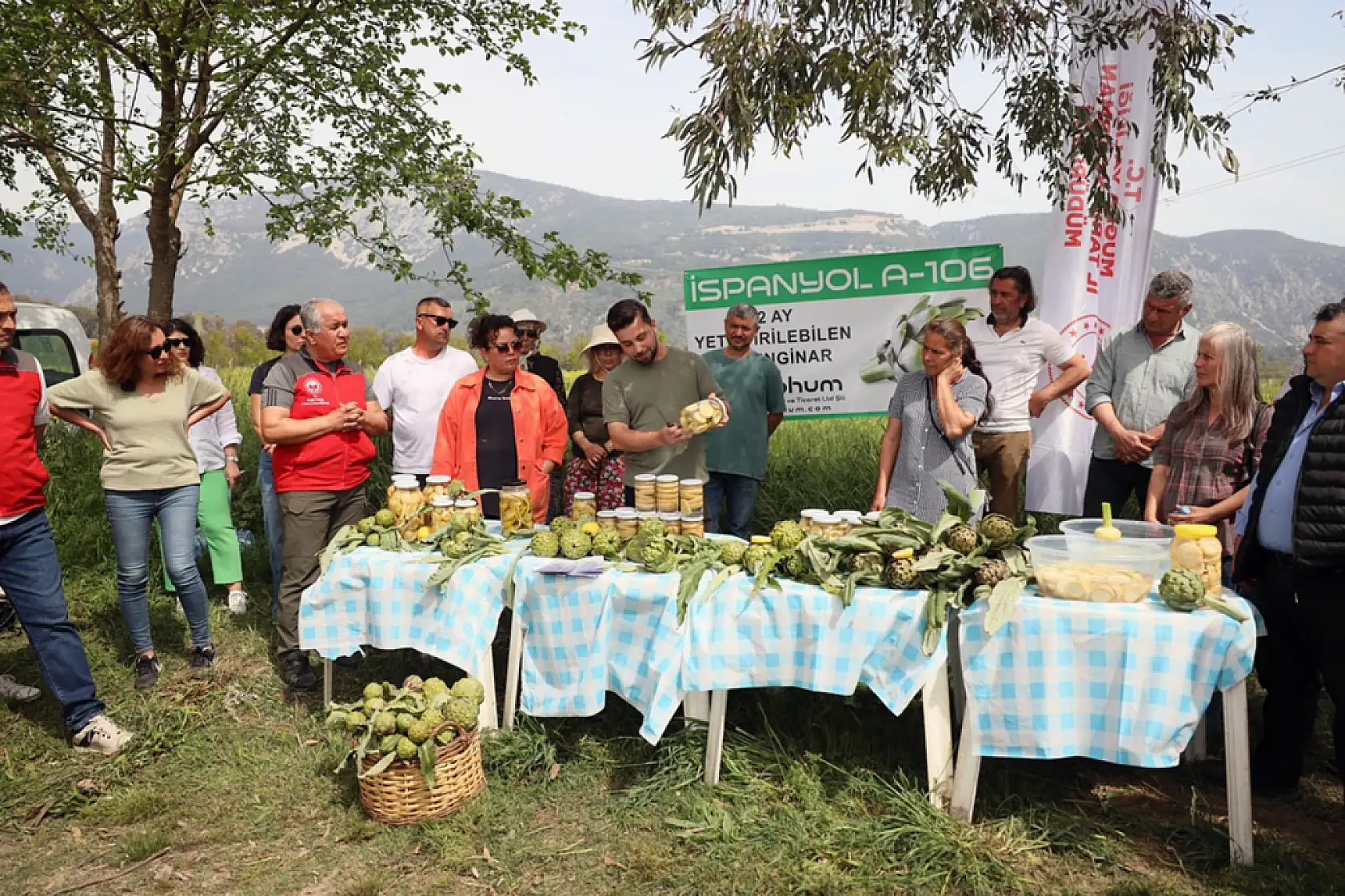 Muğla' da 'Hibrit Enginar Hasadı Tarla Günü' düzenlendi
