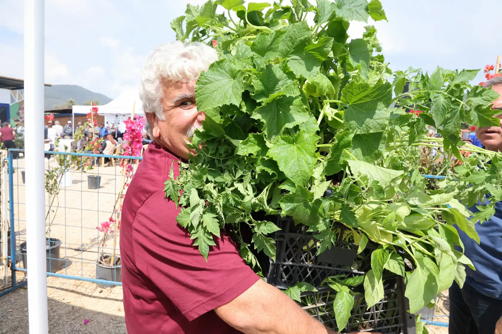 Bodrum Belediyesi tarafından ata tohumlardan üretilen 250 bin fide 1 saatte bitti