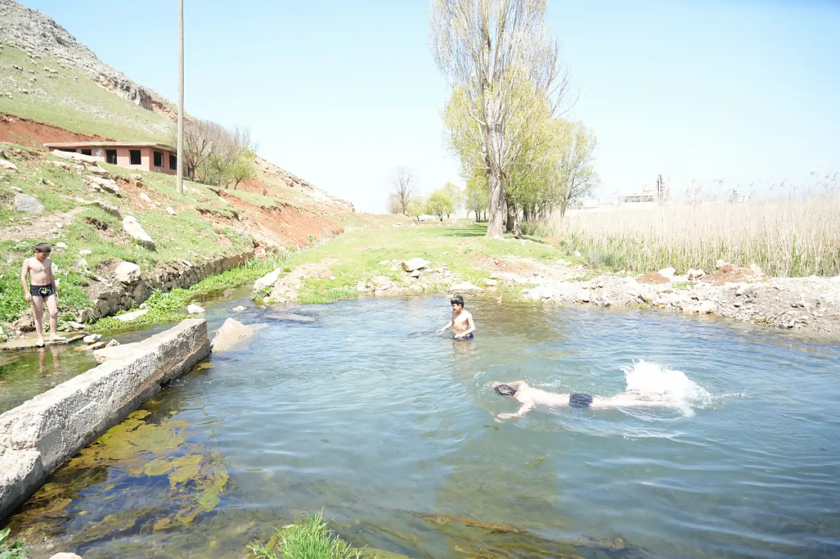 Çocuklar soğuğa aldırmadı: Titreye titreye gölette yüzdüler