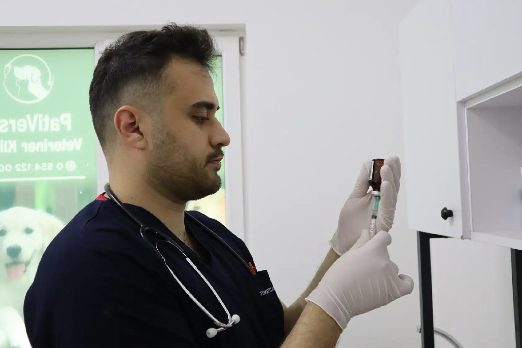 Evcil hayvan sahipleri dikkat! Yaz mevsiminde bunlara dikkat etmek hayati önem taşıyor