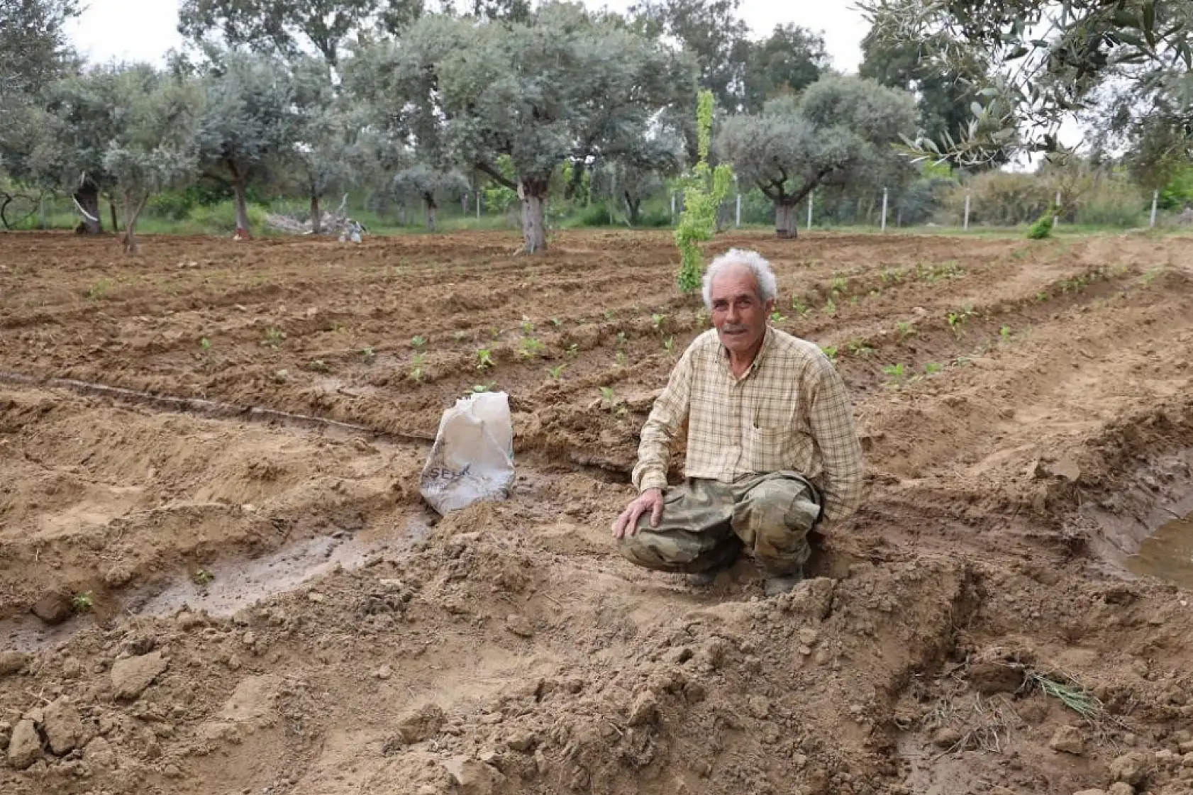 'Kahveye gitmem, toprağa giderim!' diyen dede sosyal medyada gündem