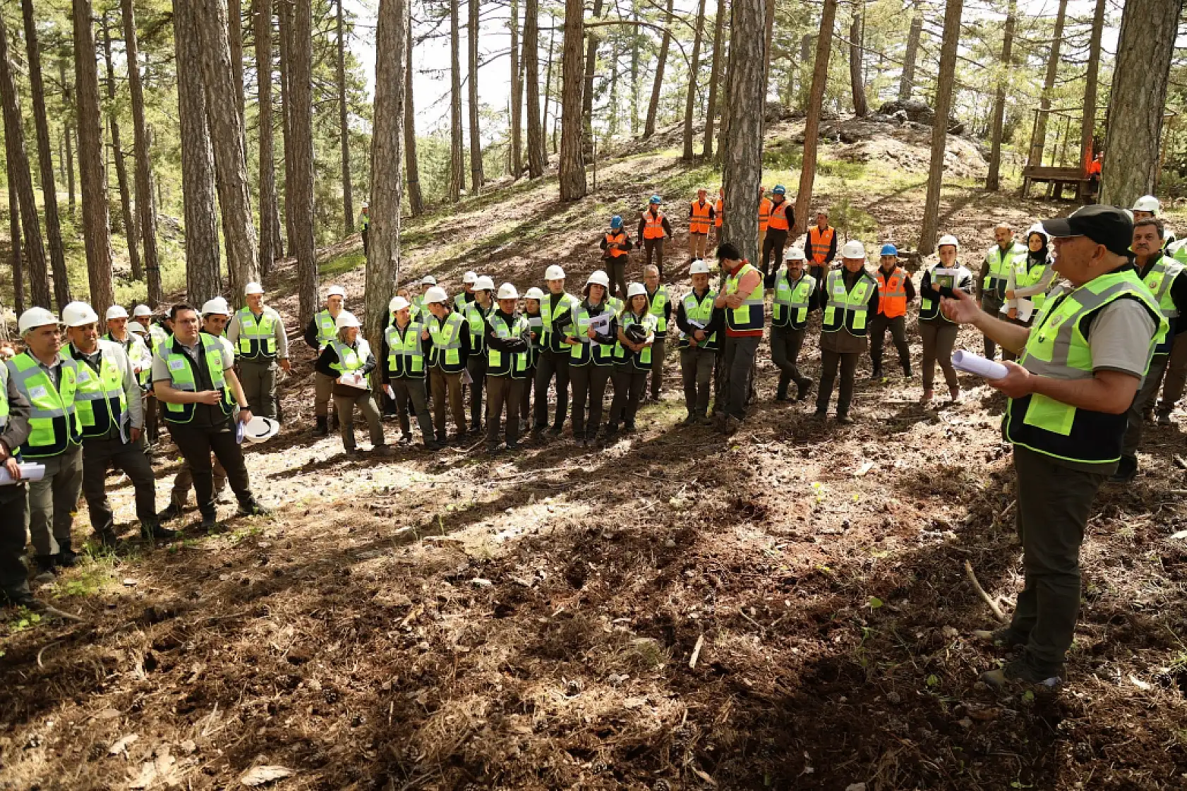 Muğla Orman Bölge Müdürlüğü'nde silvikültür tatbikatları tamamlandı