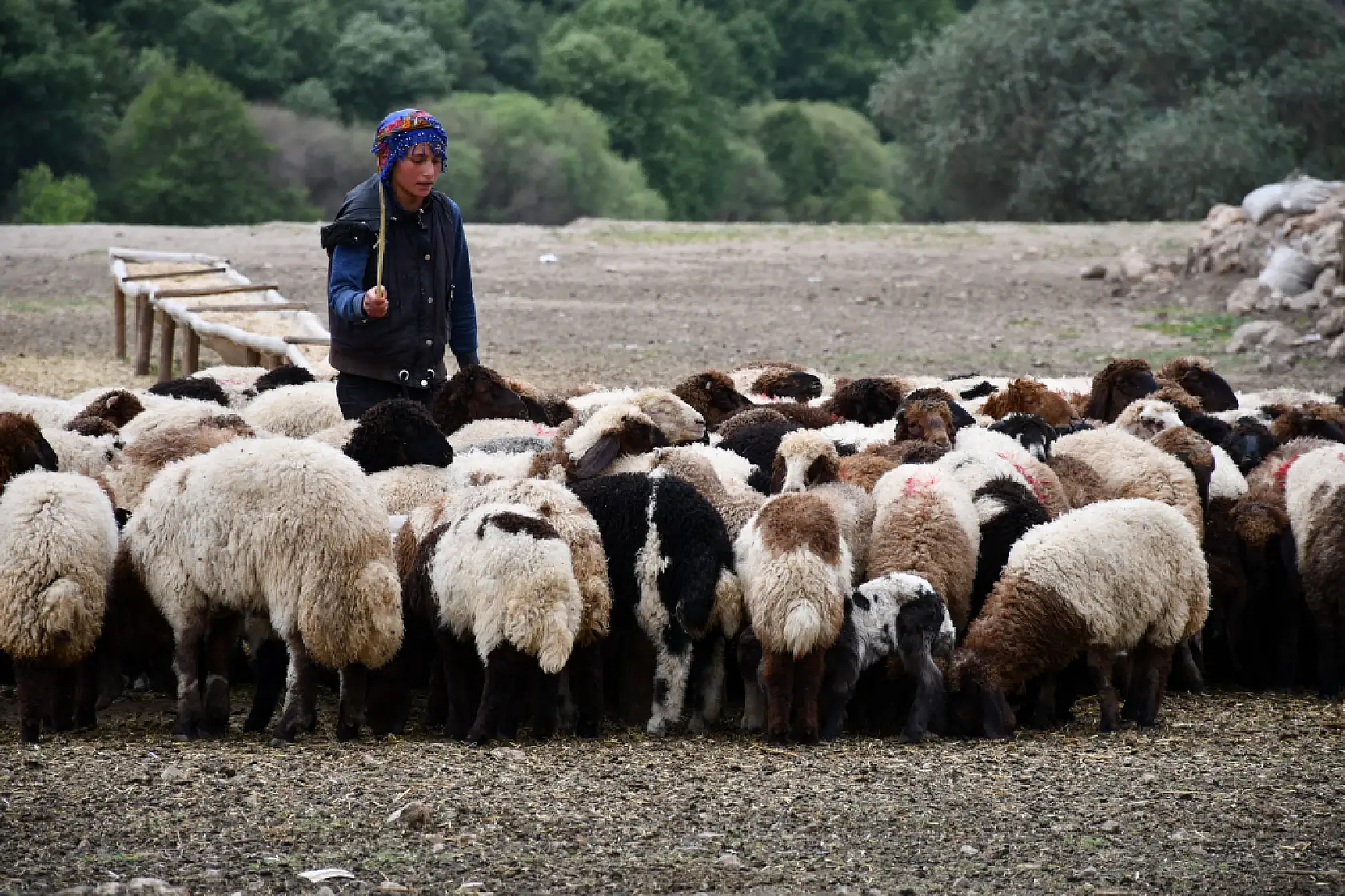 Bir çocuğun sessiz çığlığı: 'Hiç oyuncağım olmadı'