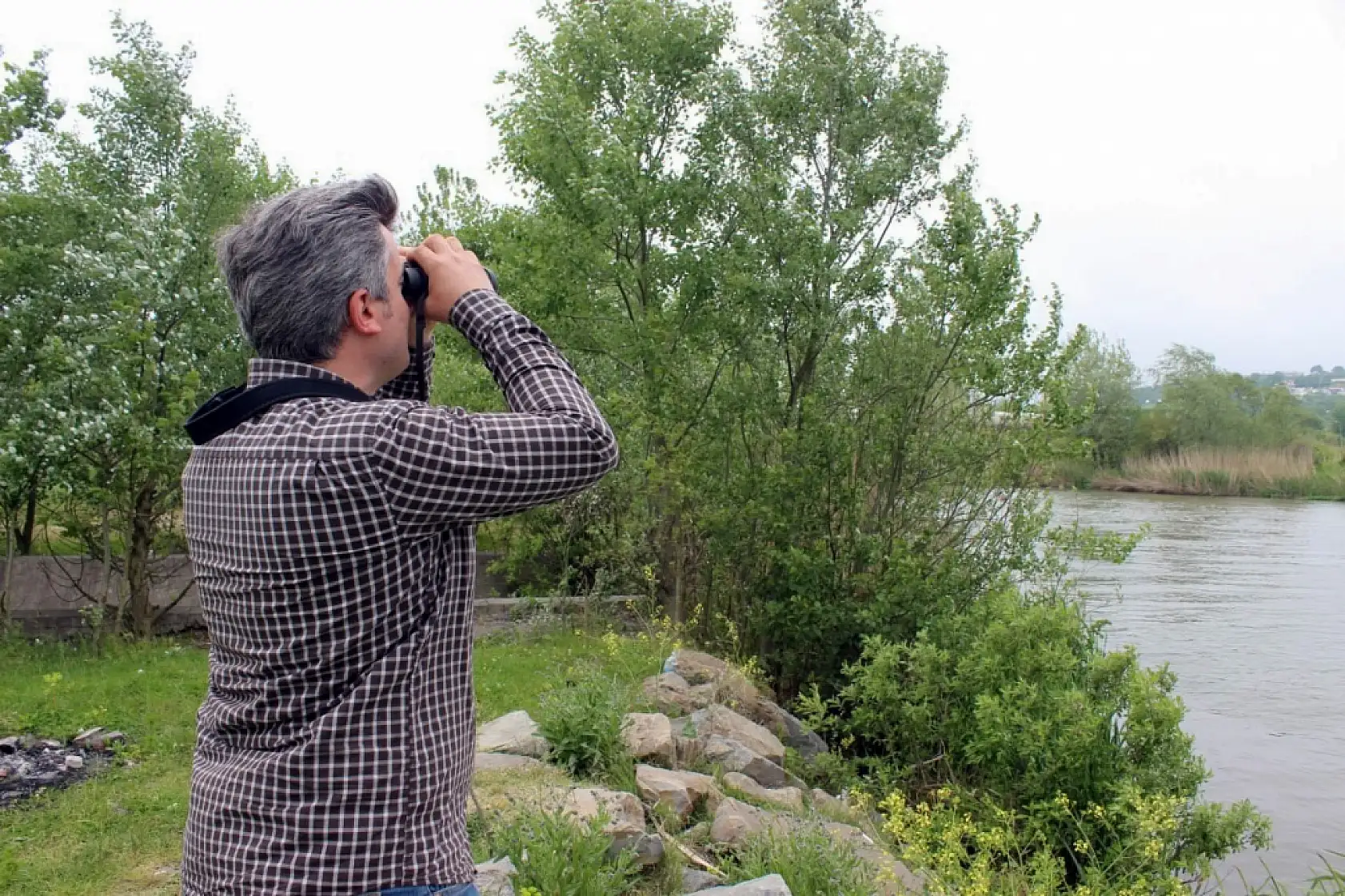 Nesli tükenmekte olan su samurunu fotokapanla görüntüledi: Sevinçten havaya uçtu