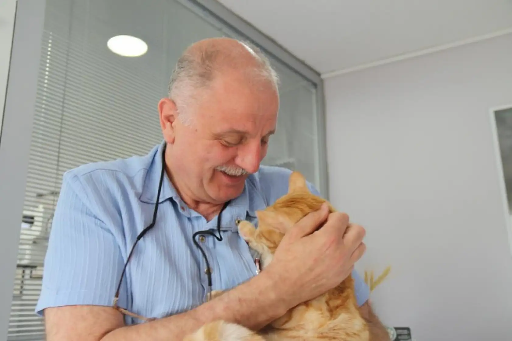 Kedisini veterinere yetiştirmeye çalışırken trafik cezası yedi, itiraz etti