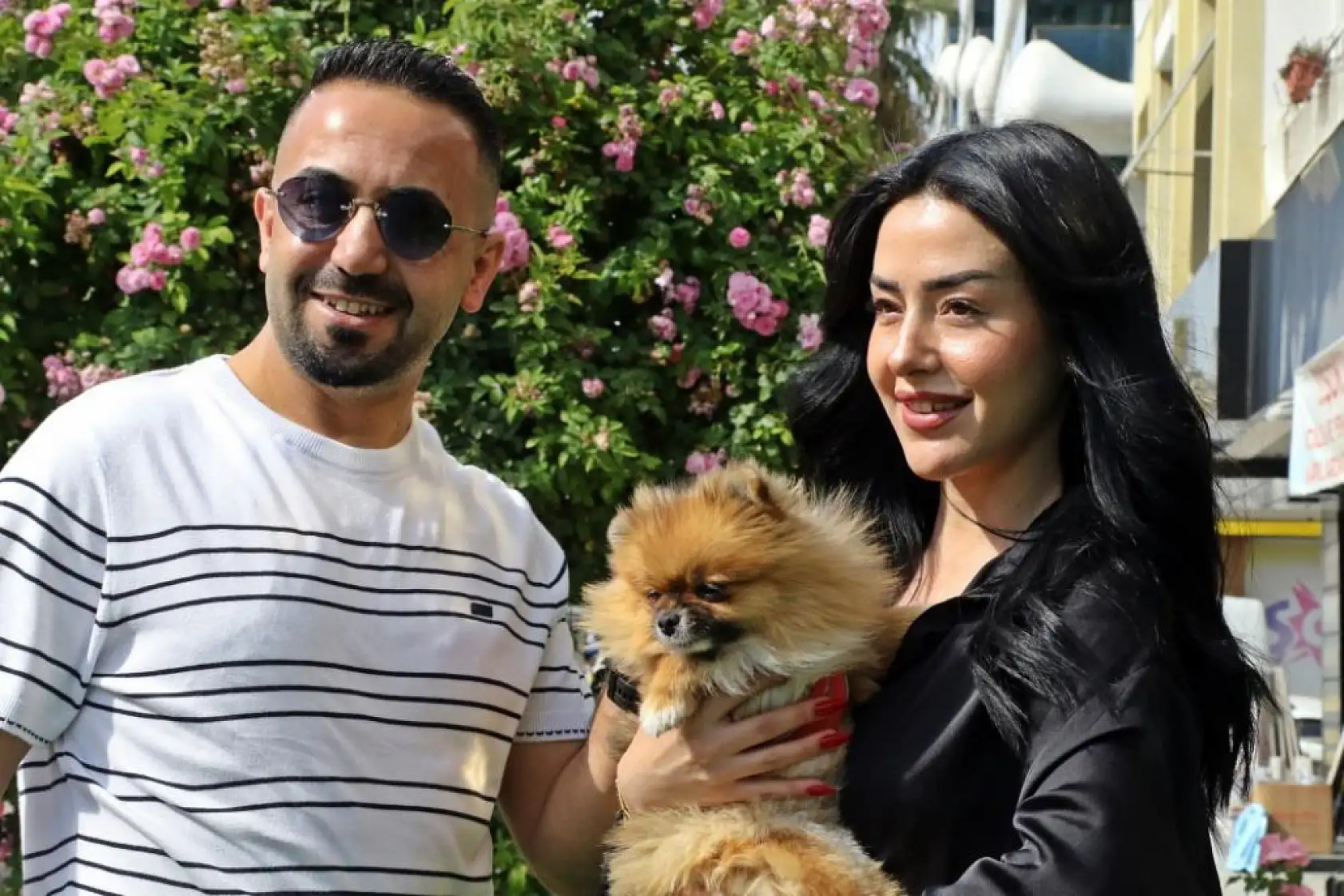 Güzellik yarışmasında birinci seçilip kaybolan köpek bulundu, sahipleri sevince boğuldu