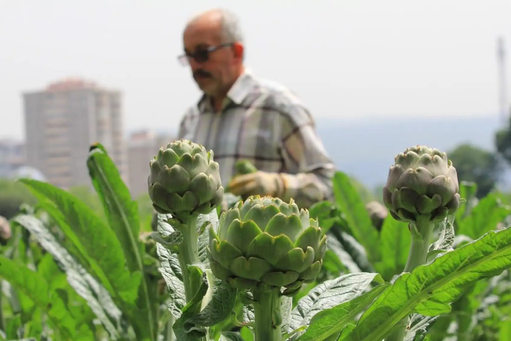 Şubatta sıraya girenler 'göbeği'ni alabildi