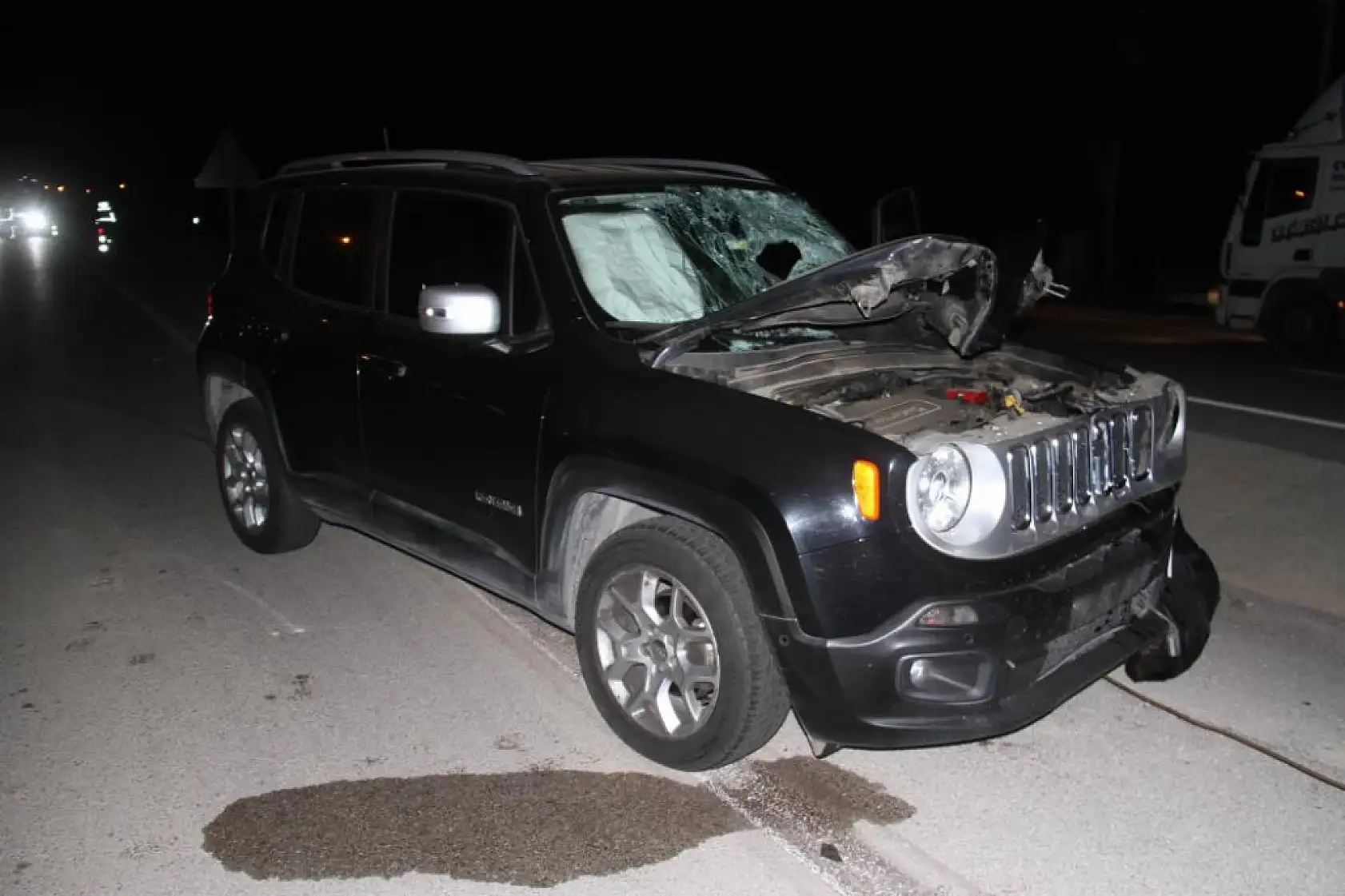 Yolun karşısına geçmek isteyen yaya hayatını kaybetti