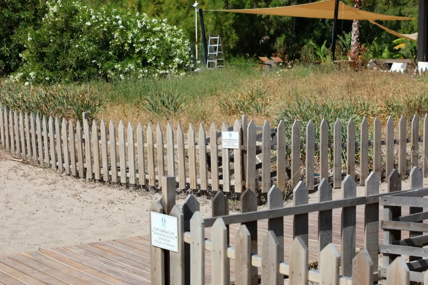 Muğla'da bu çiçeği koparmanın cezası 387 bin TL