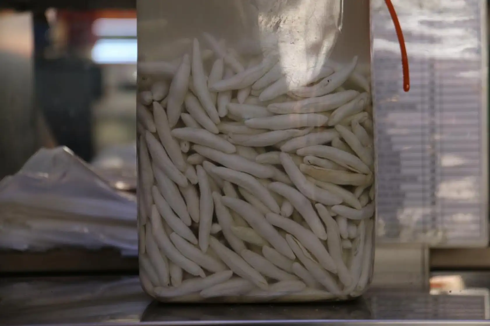 Dünyanın en pahalı sakızı, çeyrek altını geçti yarım altınla yarışıyor