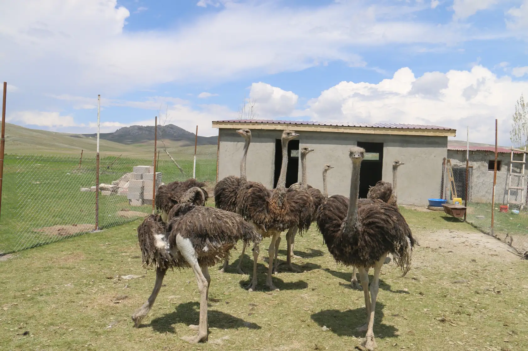 Babasının hayalini gerçekleştirdi, Sivas'ta ilki yaptı