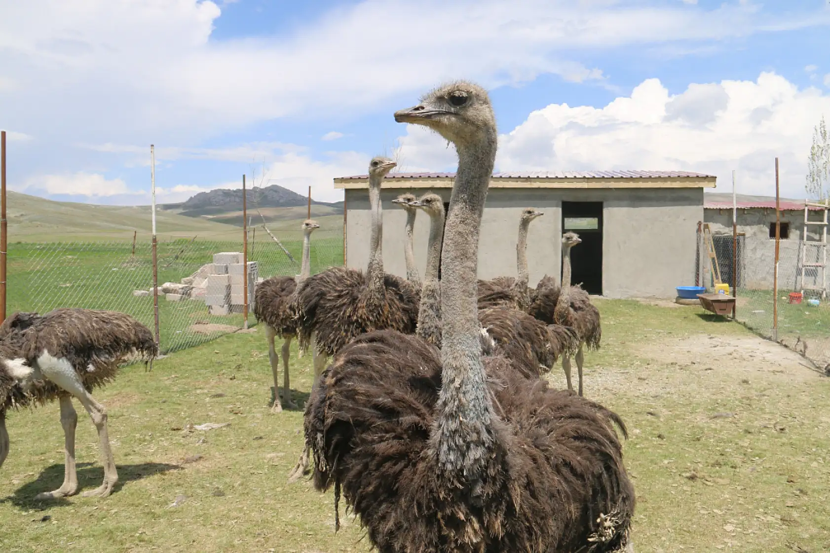 Babasının hayalini gerçekleştirdi, Sivas'ta ilki yaptı