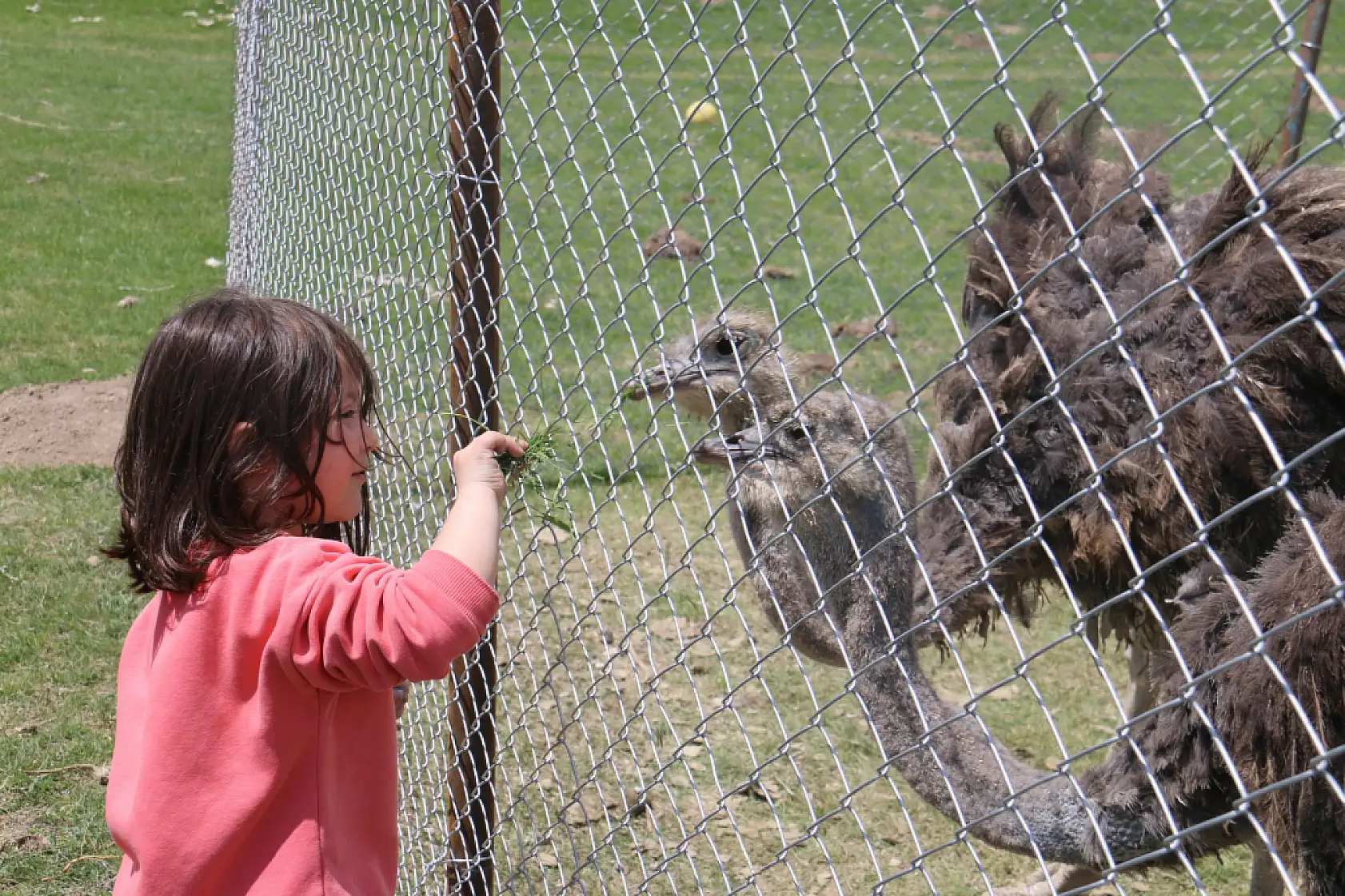 Babasının hayalini gerçekleştirdi, Sivas'ta ilki yaptı