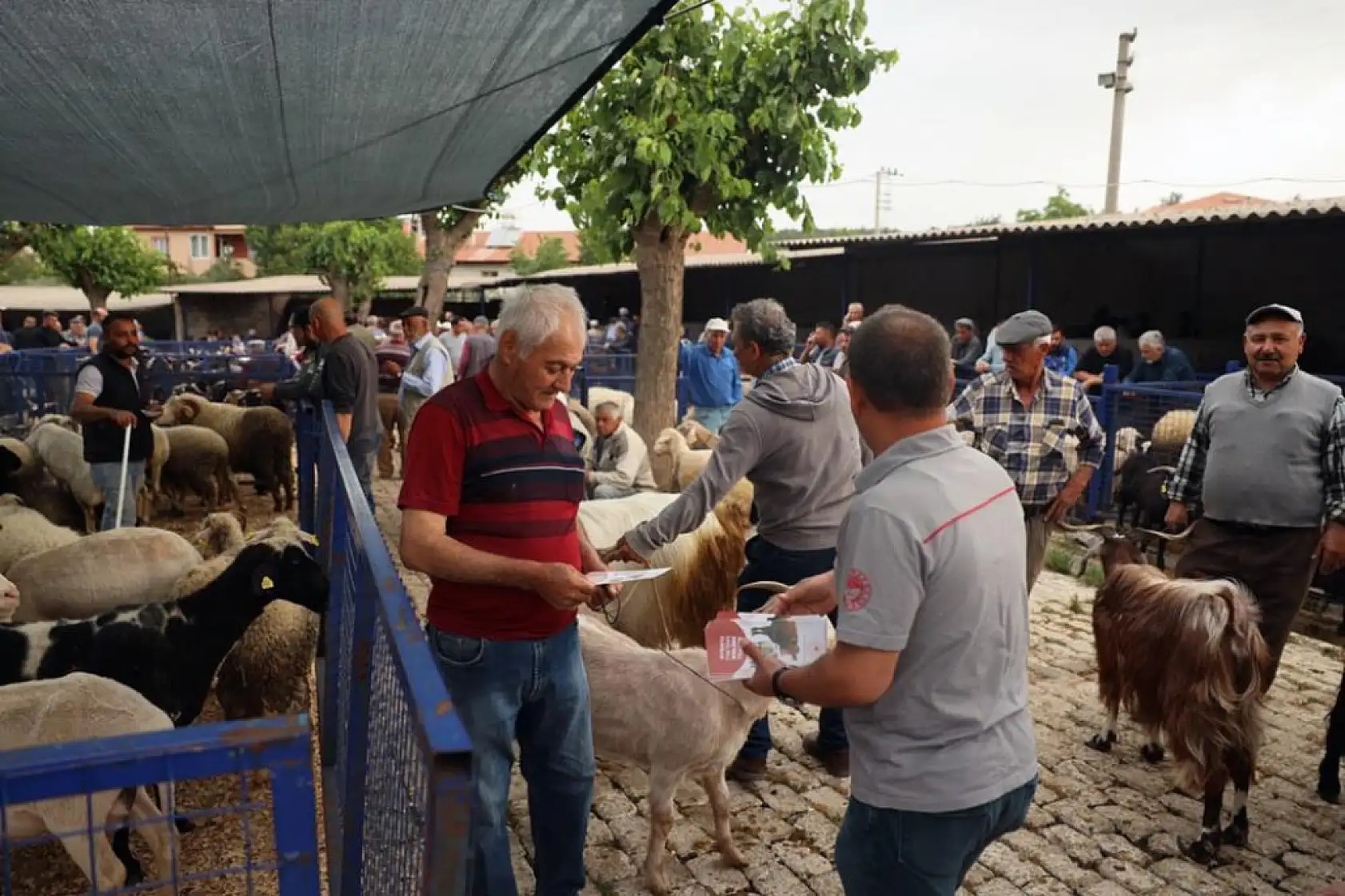 Muğla'da kurban pazarlarında sağlık ve hijyen kontrolü