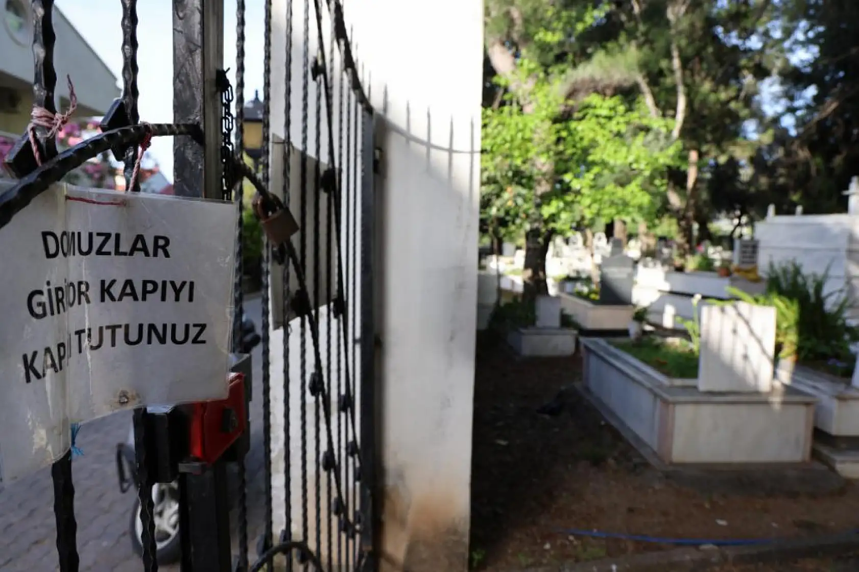 Marmaris'te vatandaşı canından bezdiren domuzlar, şimdi de mezarları tahrip etmeye başladı