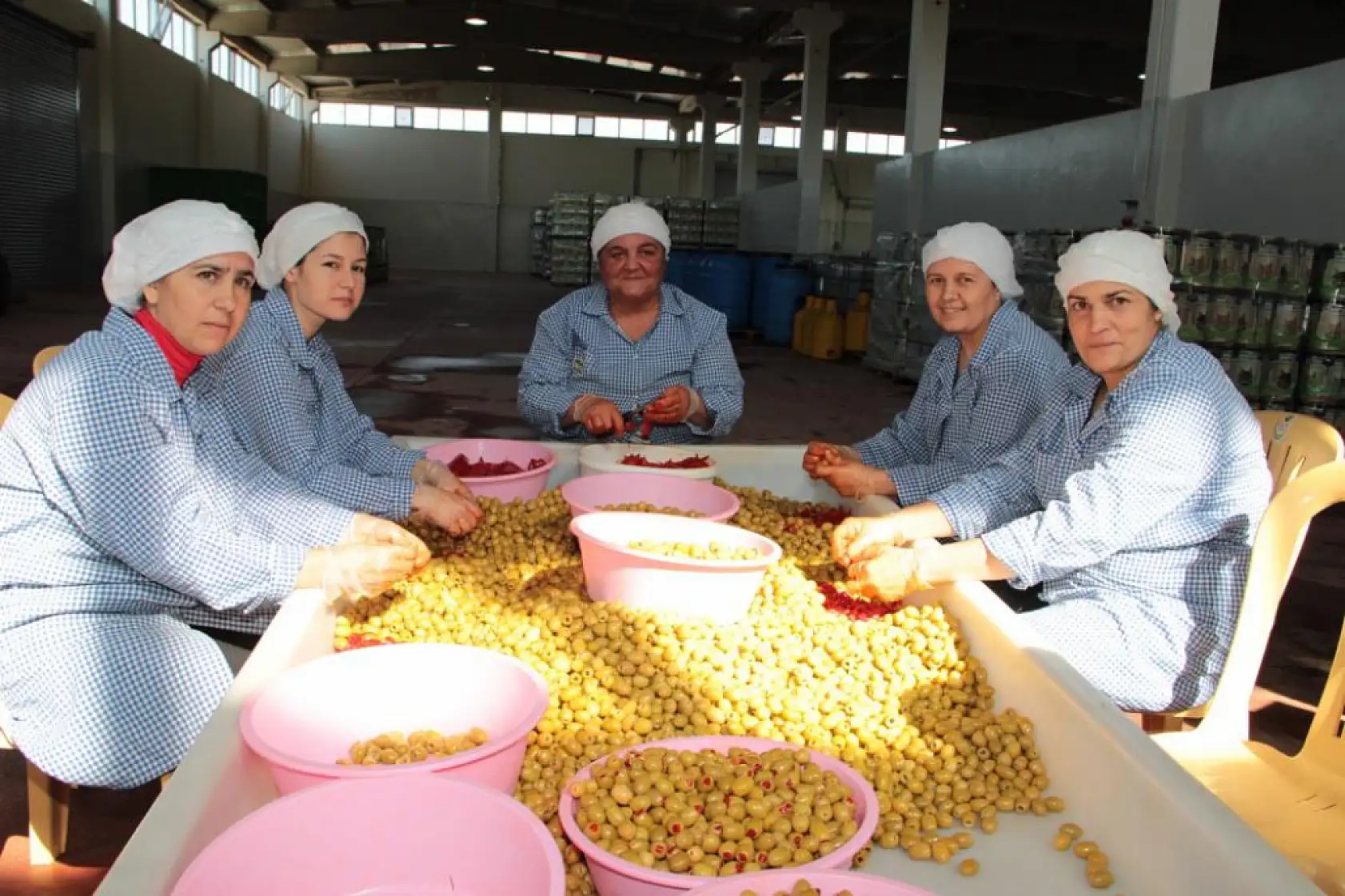 Zeytin ihracatında patlama! 7 ayda 162 milyon dolara ulaştı