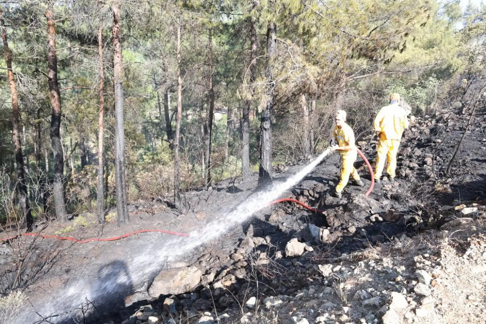 Marmaris'te ateş savaşçıları alevlere geçit vermedi