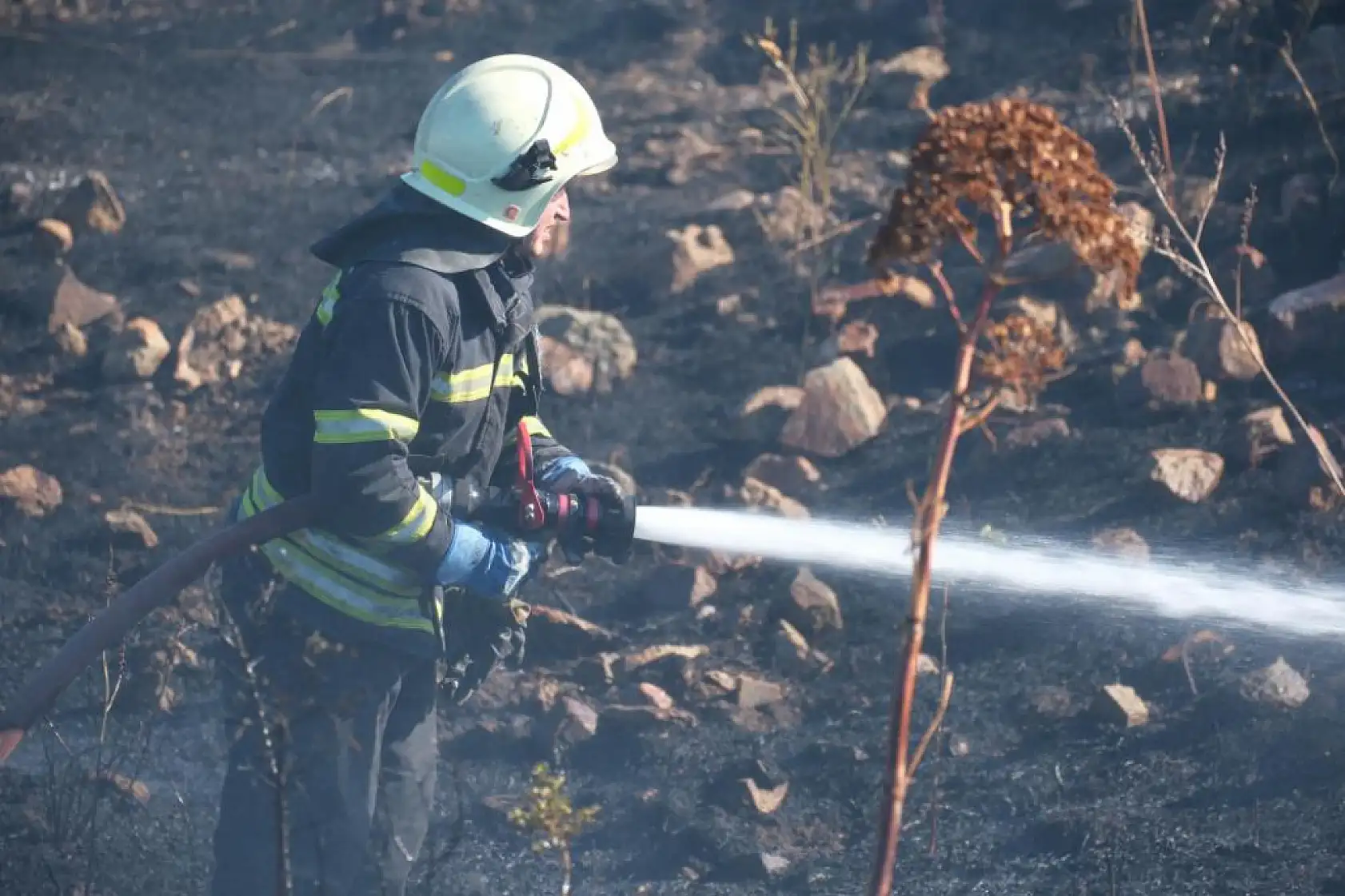 Bodrum'da otluk alanda çıkan yangın 5 dekarlık alanı küle çevirdi