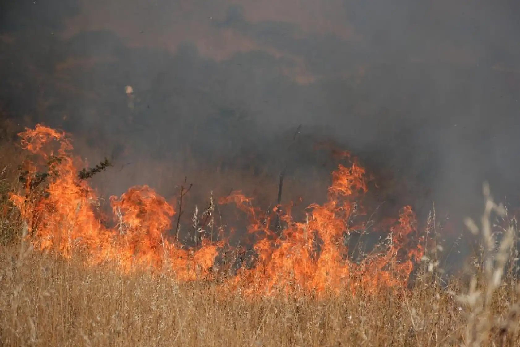 Bodrum'da otluk alanda çıkan yangın 5 dekarlık alanı küle çevirdi