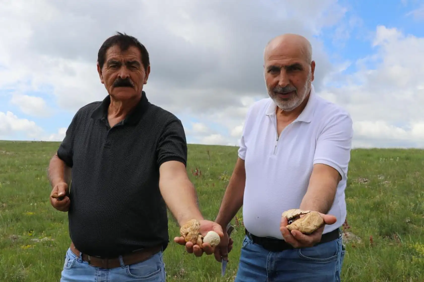 Bedava protein, doğadan elleriyle tek tek topluyorlar