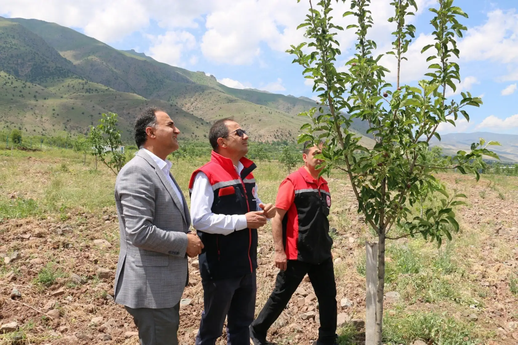 Taziye evinden dönenleri taşıyan midibüs şarampole yuvarlandı: 2 ölü, 15 yaralı
