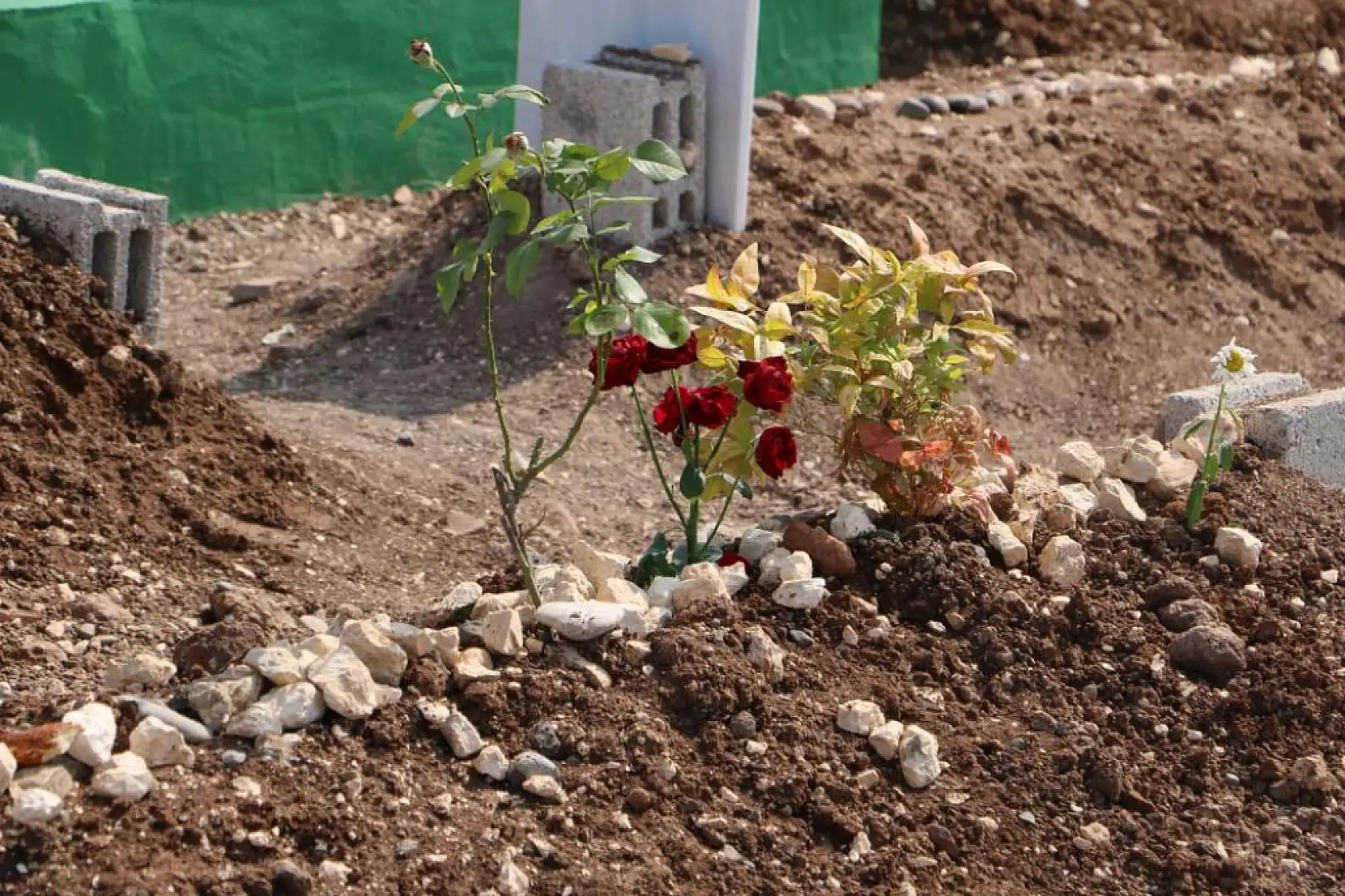 Yangında hayatını kaybeden anne ve 3 çocuğunun mezarı vatandaşlar tarafından ziyaret ediliyor