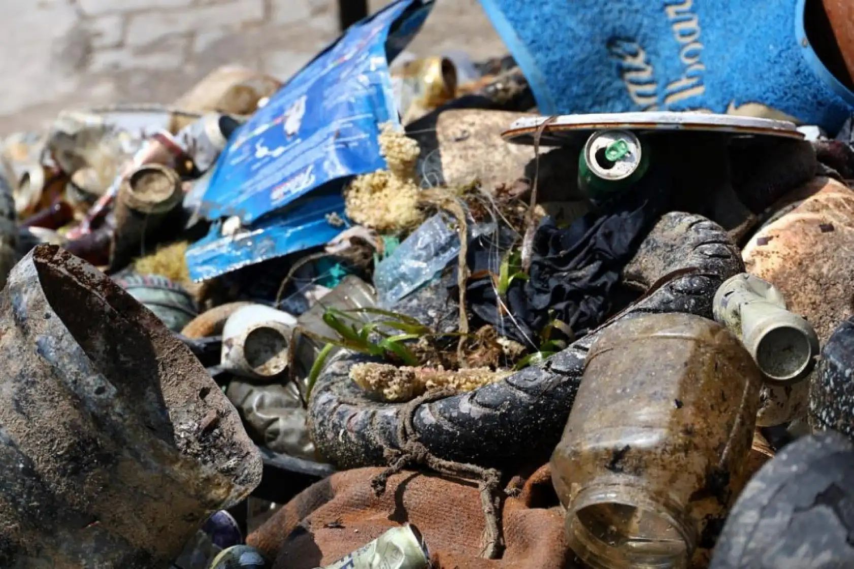 Bodrum Akyarlar'da deniz dibi temizliği
