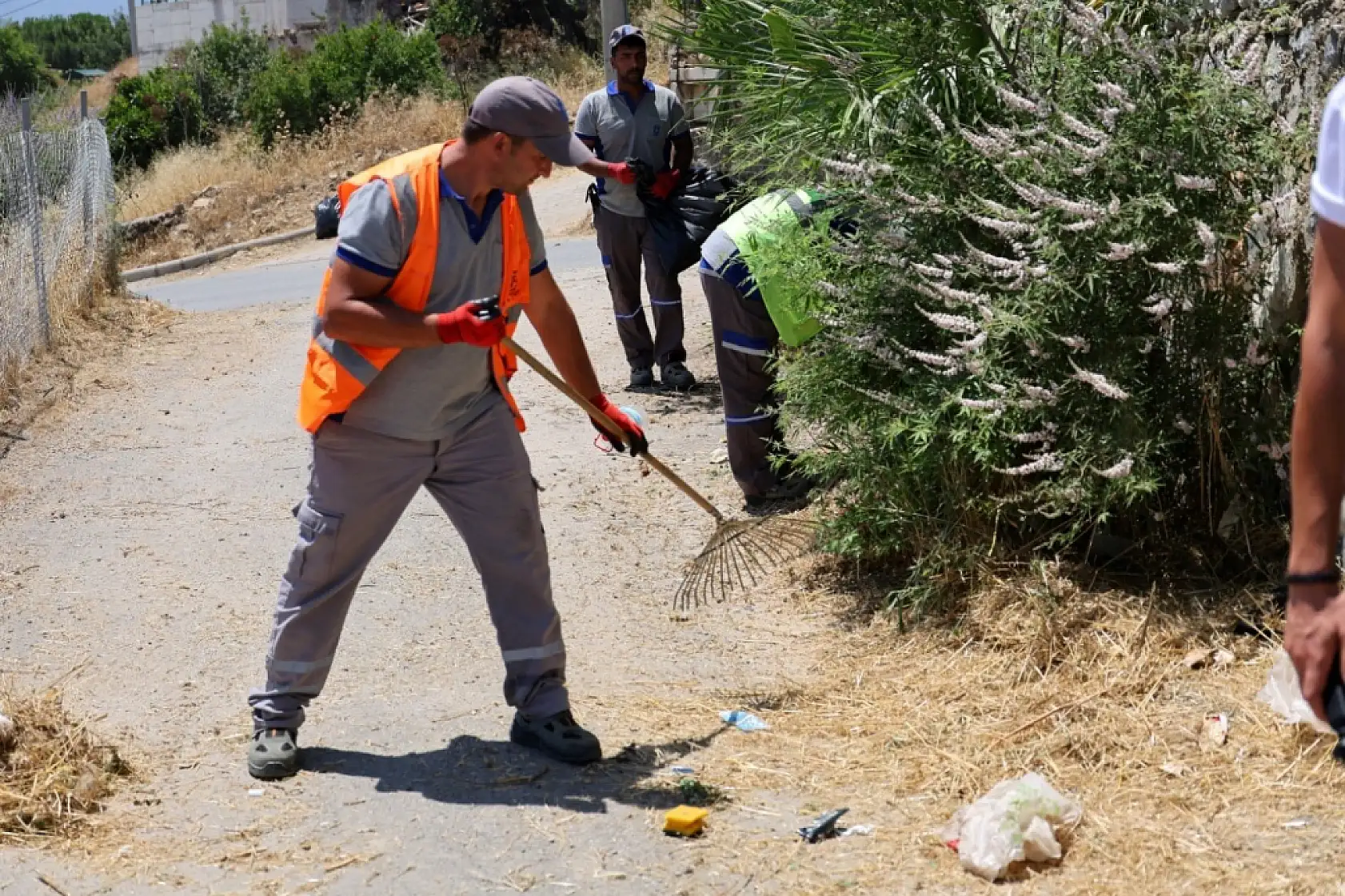 Ot temizliği ve budama çalışmaları devam ediyor