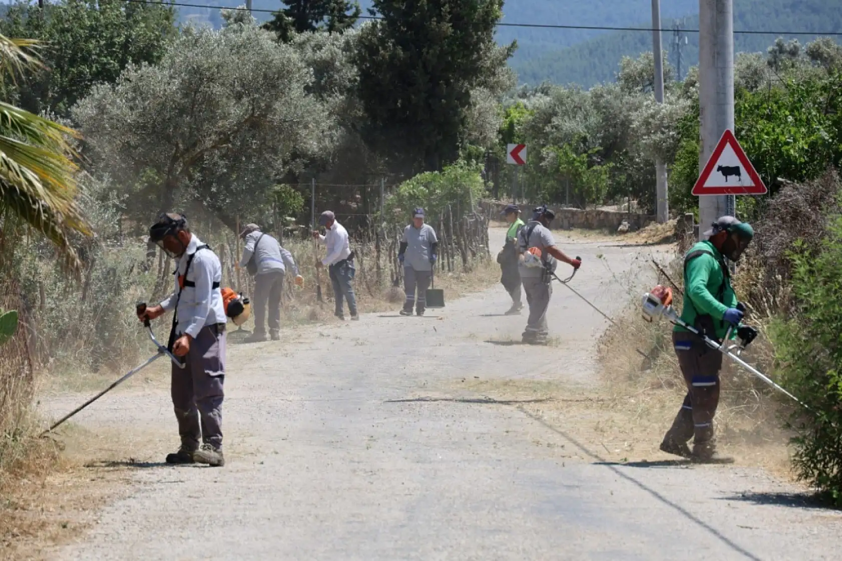 Ot temizliği ve budama çalışmaları devam ediyor