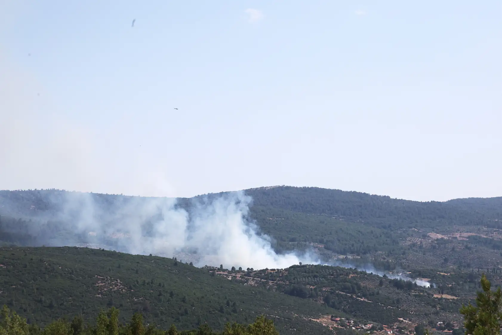 Menteşe'de çıkan yangın kontrol altına alındı