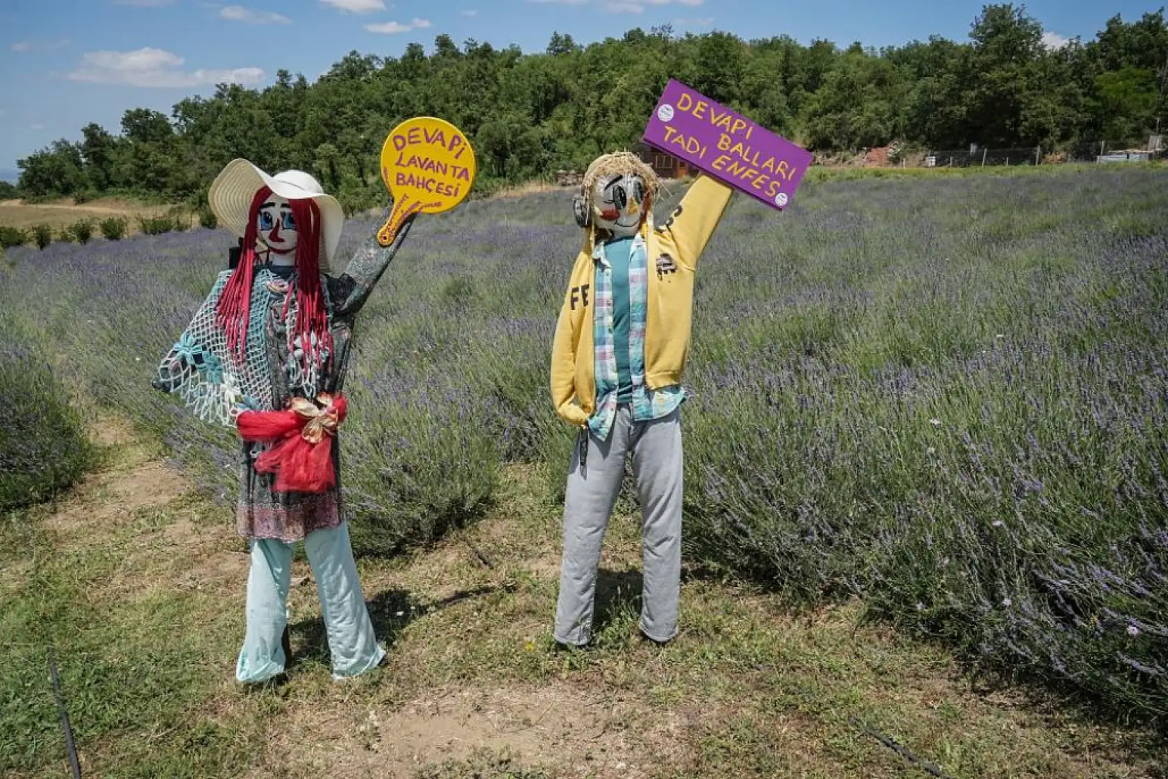 Doktorun kurduğu bahçe görenleri hayran bıraktı!