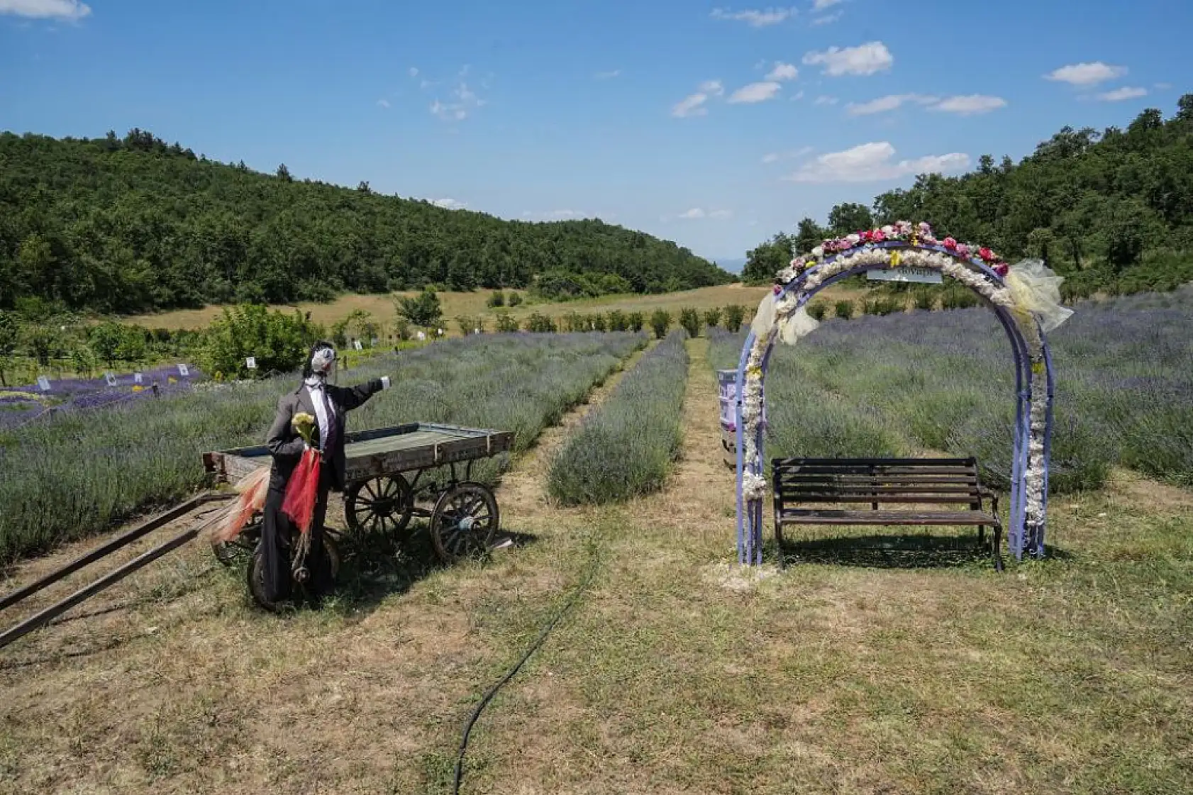 Doktorun kurduğu bahçe görenleri hayran bıraktı!