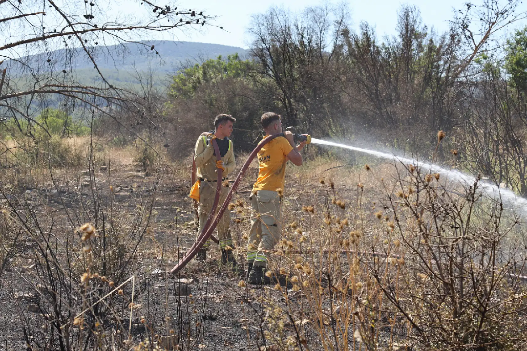 Alevler ormana sıçramadan söndürüldü