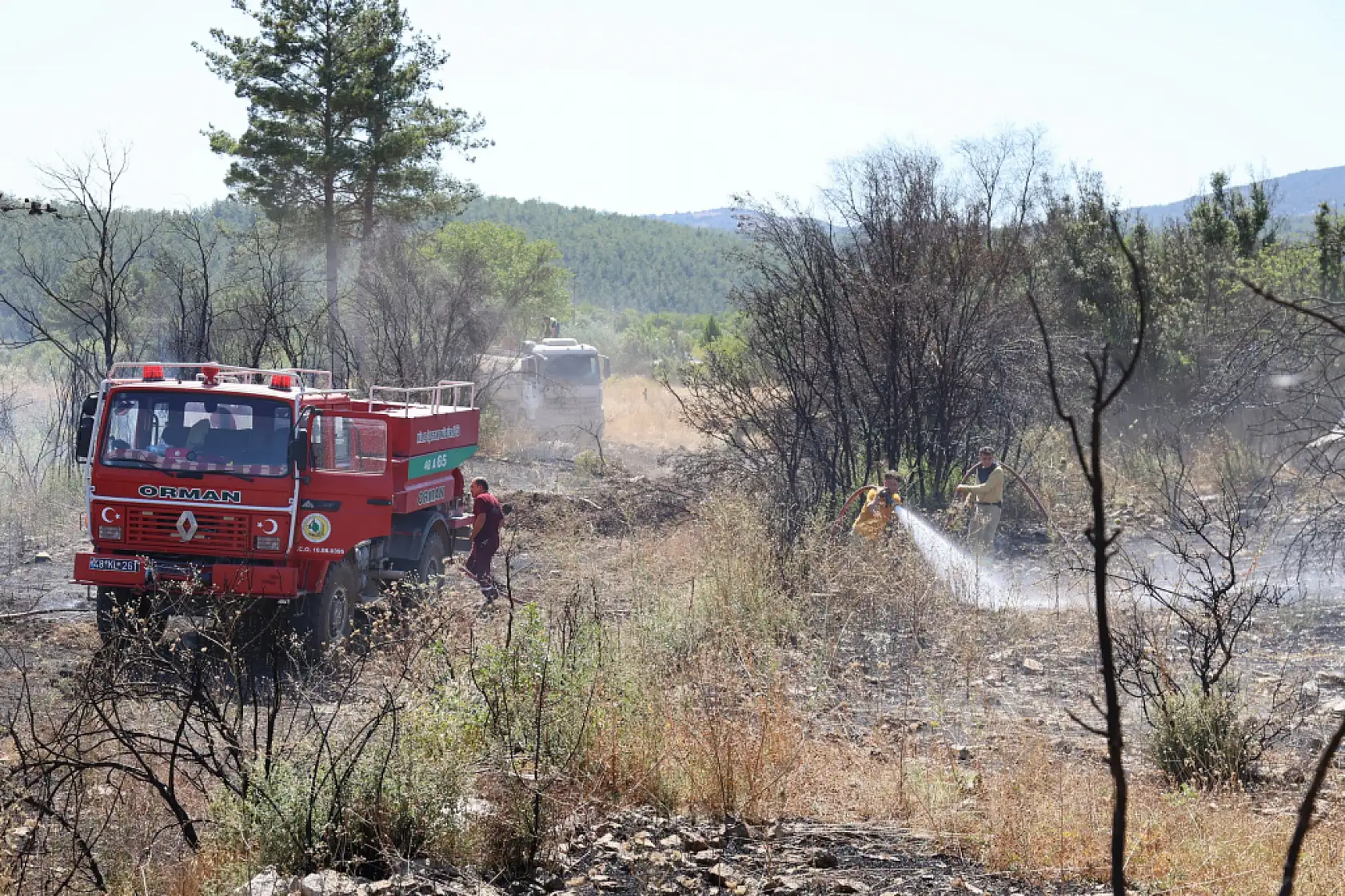 Alevler ormana sıçramadan söndürüldü