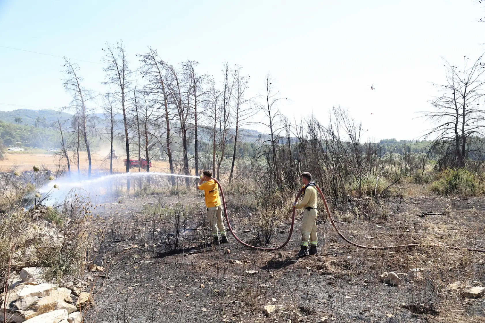 Alevler ormana sıçramadan söndürüldü